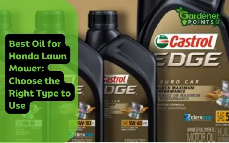 Best Oil for Honda Lawn Mower: Choose the Right Type to Use