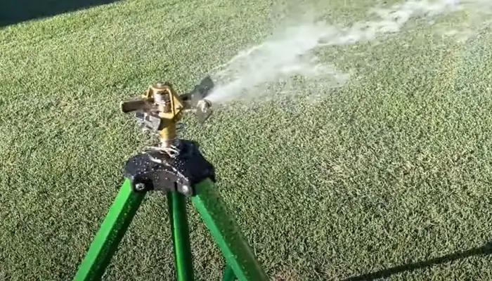 Don’t keep your lawn dry