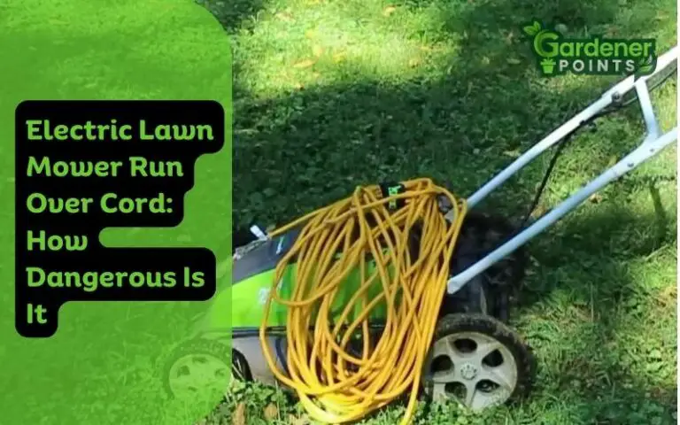 Electric Lawn Mower Run Over Cord: How Dangerous Is It?