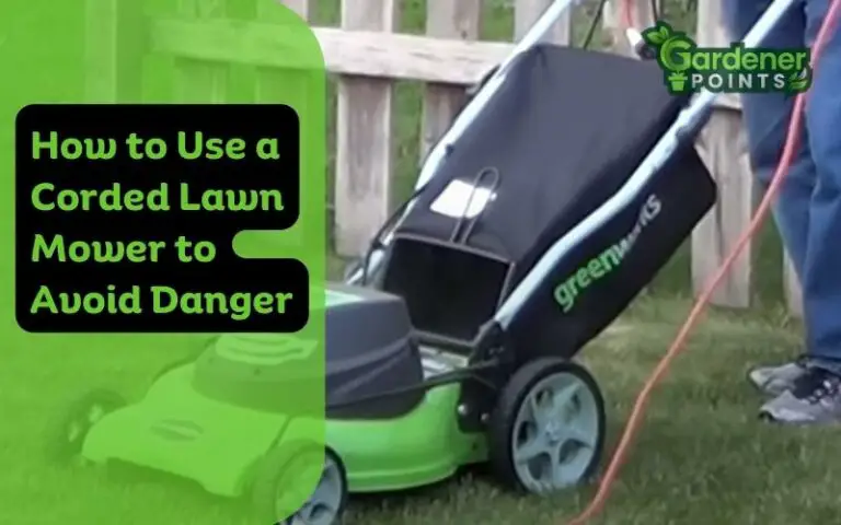 How to Use a Corded Lawn Mower to Avoid Danger? (Elaborated)