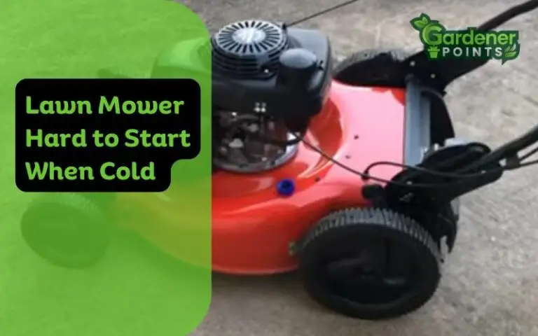 Lawn Mower Hard to Start When Cold – How to Fix?