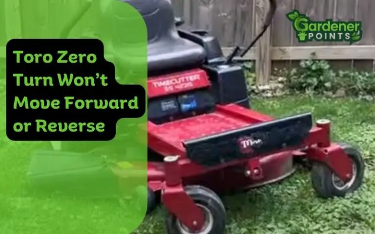 Toro Zero Turn Won’t Move Forward or Reverse – How to Fix?
