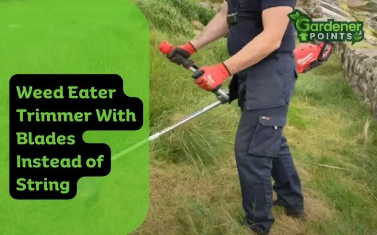 Weed Eater Trimmer With Blades Instead of String – Is It Ok?
