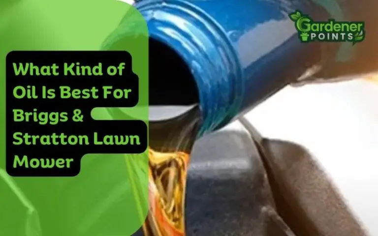 What Kind of Oil Is Best for Briggs & Stratton Lawn Mower?