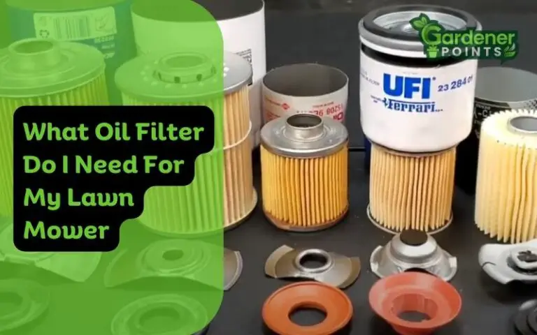 What Oil Filter Do I Need For My Lawn Mower? (A Guide)