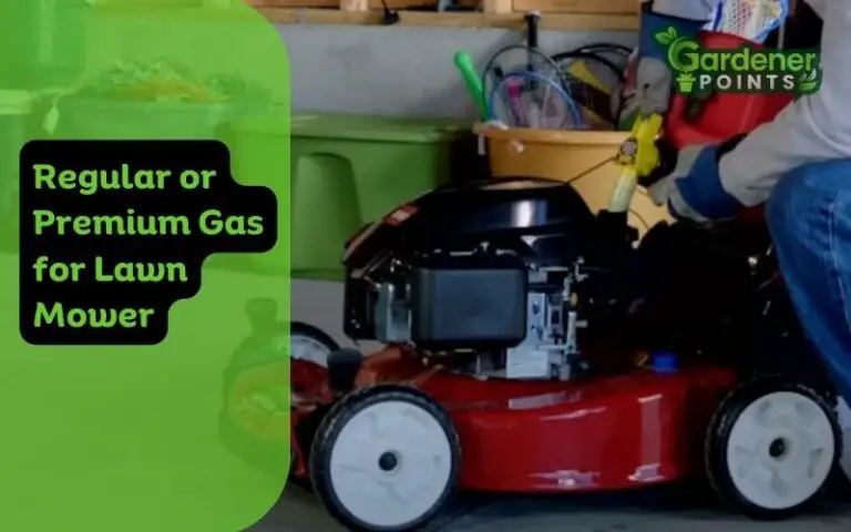 Regular or Premium Gas for Lawn Mower: What to Use?