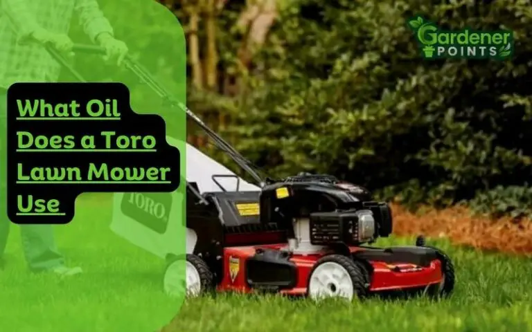 What Oil Does a Toro Lawn Mower Use (A Comprehensive Guide)