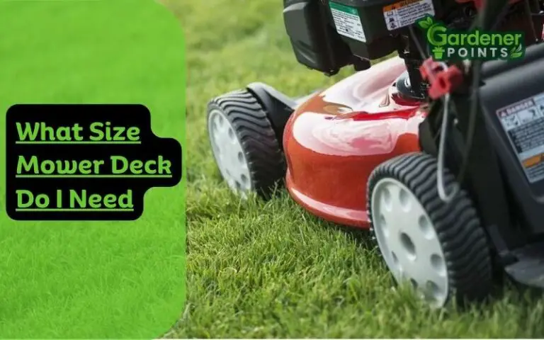 What Size Mower Deck Do I Need? (Choose The Right One)